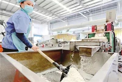 愿天下无废 让西青更美——记万绿达(天津)再生资源利用的资源再生利用技术研发